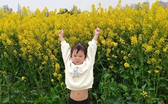 一本到高清视频不卡dvd日本